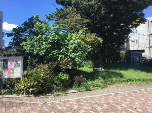 公園　谷原けやき緑地（公園）まで544m