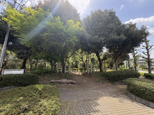 公園　日野中央公園（公園）まで2032m