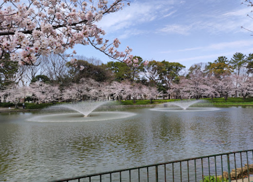 公園　名城公園（公園）まで728m