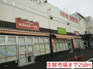 スーパー　生鮮市場（スーパー）まで250m