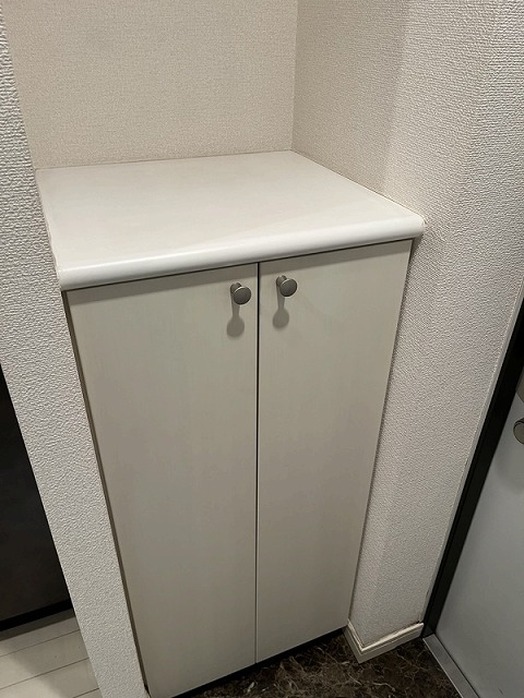 玄関　シューズボックス付き