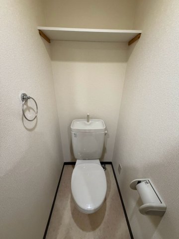 エクセレント上新12のトイレ写真
