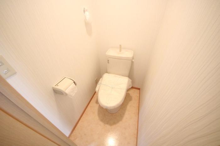 エムハイツのトイレ写真