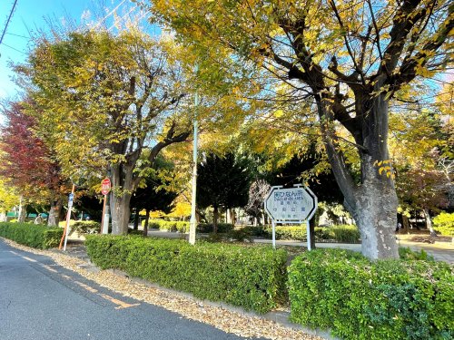 【川口市芝富士のマンションの公園】