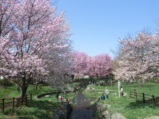 【レジデンスヒルトップIの公園】