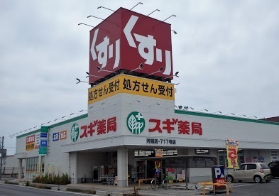 ドラックストア　スギ薬局河瀬店（ドラッグストア）まで862m