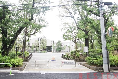 公園　教育の森公園（公園）まで574m