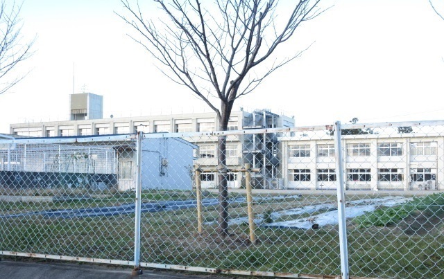 小学校　小野江小学校（小学校）まで450m