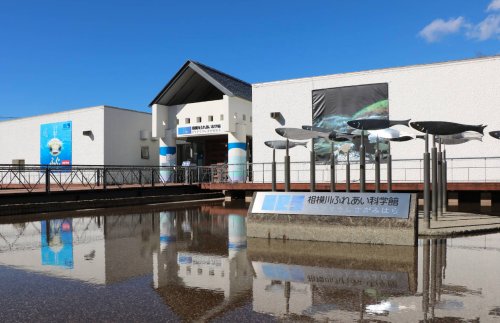 その他　相模川ふれあい科学館 アクアリウムさがみはら（その他）まで315m