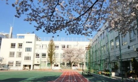 小学校　新宿区立江戸川小学校（小学校）まで320m
