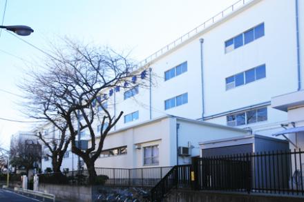 小学校　江東区立第七砂町小学校（小学校）まで268m