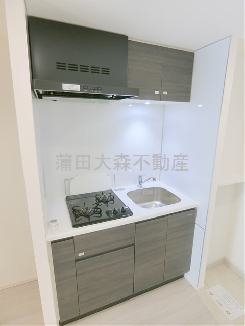 キッチン　2口ガスシステムキッチン