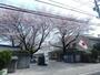小学校　小平市立 小平第四小学校（小学校）まで607m