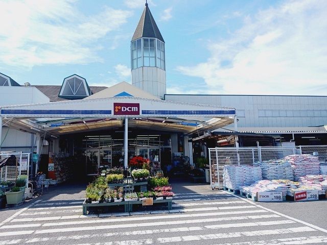ホームセンター　ＤＣＭ伊予店様（ホームセンター）まで650m