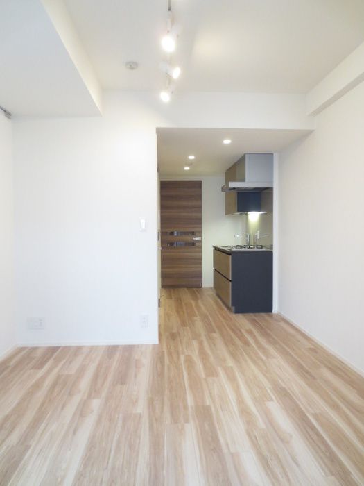 ONE ROOF FLAT TSUKISHIMAの居間写真