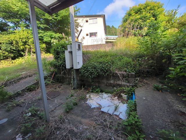 庭