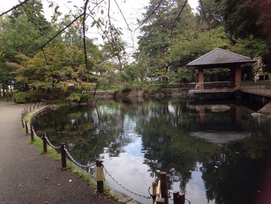 【桜コーポの公園】