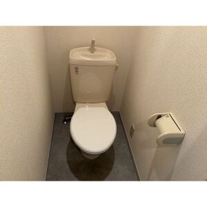 ロッシェル中央林間第9のトイレ写真