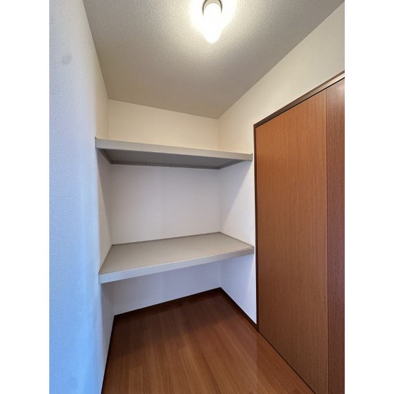 収納　ウォークインクローゼット