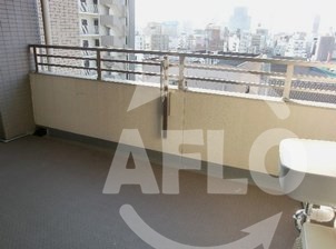 バルコニー　PHOENIX日本橋高津（フェニックス日本橋高津）　広いバル
