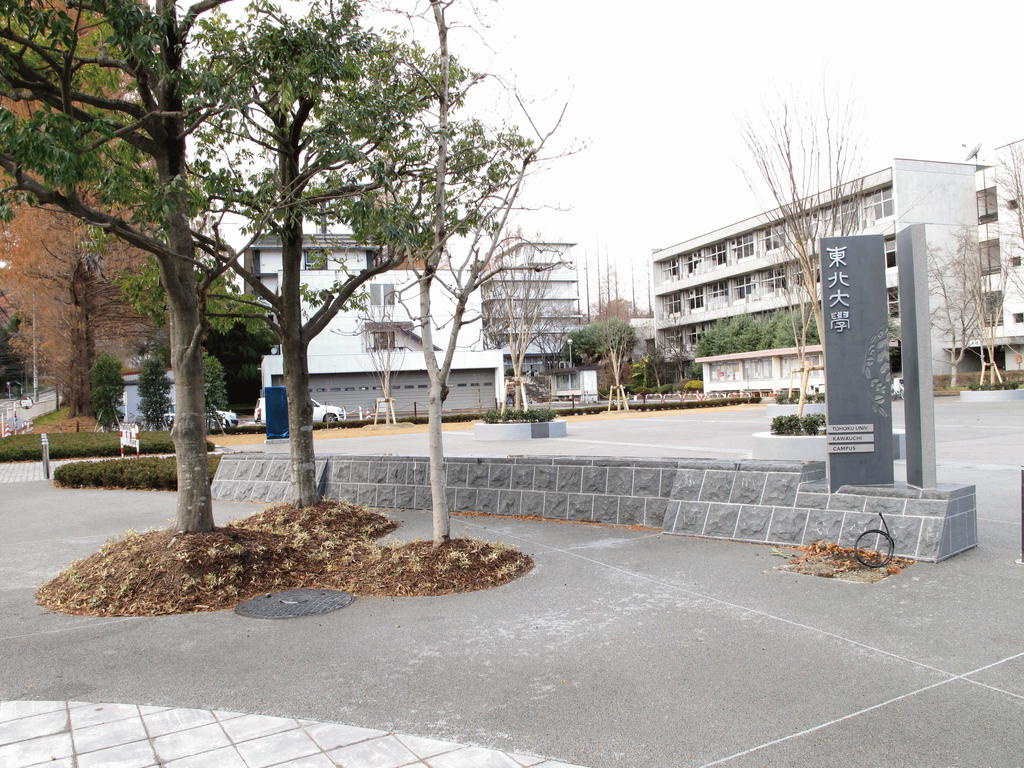 大学・短大　国立東北大学（大学・短大）まで1237m