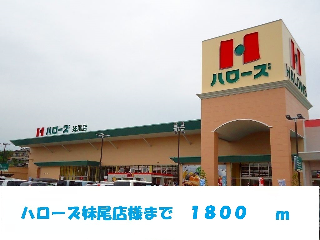 スーパー　ドリームタウンせのお（スーパー）まで1009m