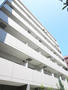 パティーナ菊川 6階 築12年1ヶ月の賃貸物件