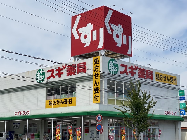 ドラックストア　スギ薬局西宮中前田店（ドラッグストア）まで1297m