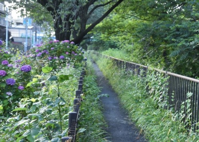 その他　玉川上水（その他）まで446m