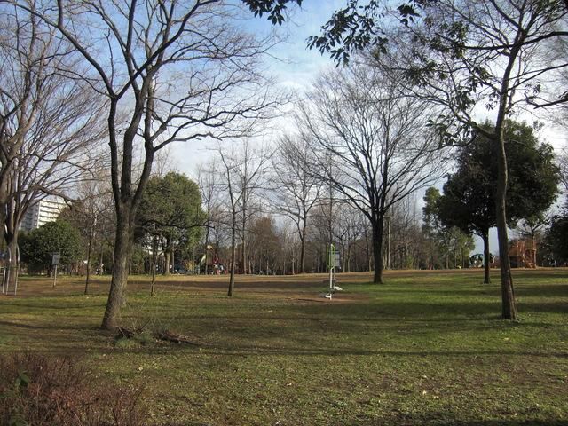 公園　木場公園（公園）まで360m