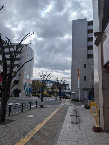 スーパー　プロマート五日市店（スーパー）まで240m
