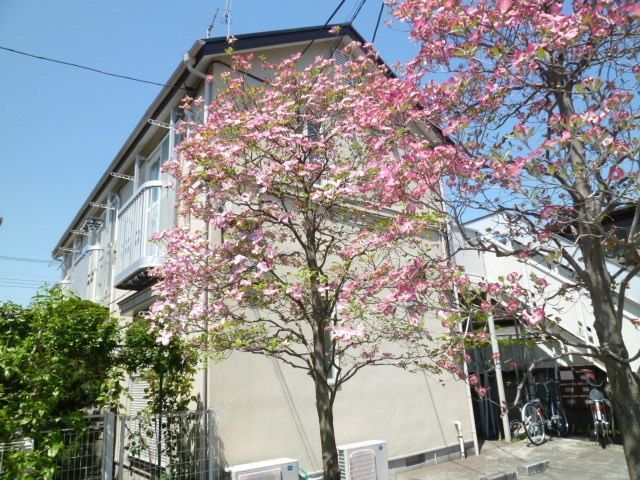 建物外観　★南向き日当り住環境良好★