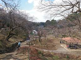 公園　大倉山公園（公園）まで1379m