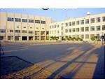 中学校　神戸市立烏帽子中学校（中学校）まで64m