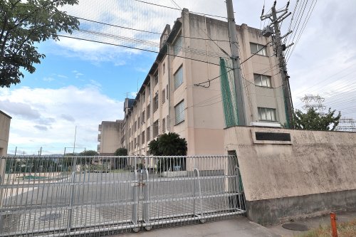 中学校　八尾市立亀井中学校（中学校）まで1073m