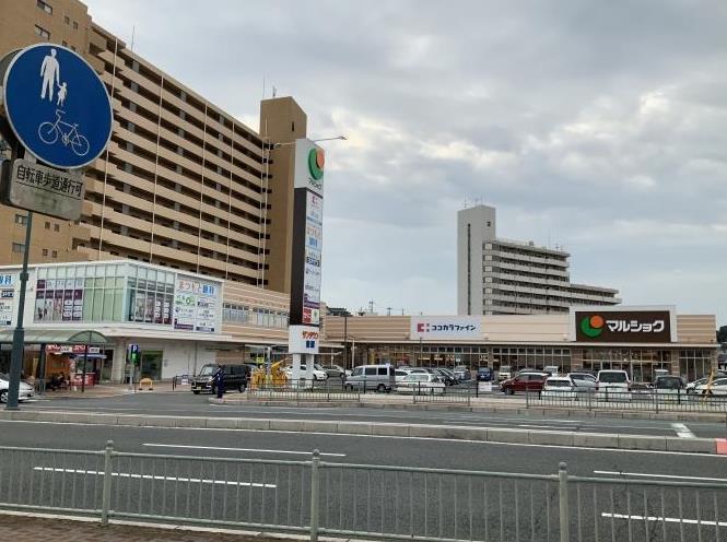 スーパー　マルショク東駅（スーパー）まで1000m