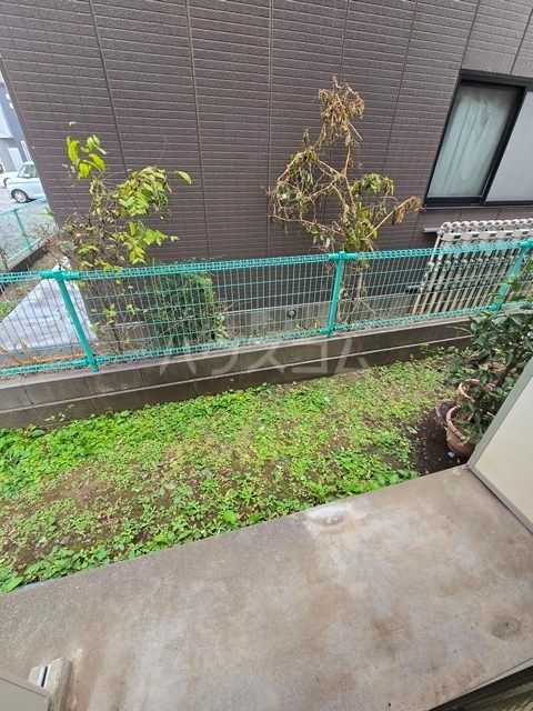 庭