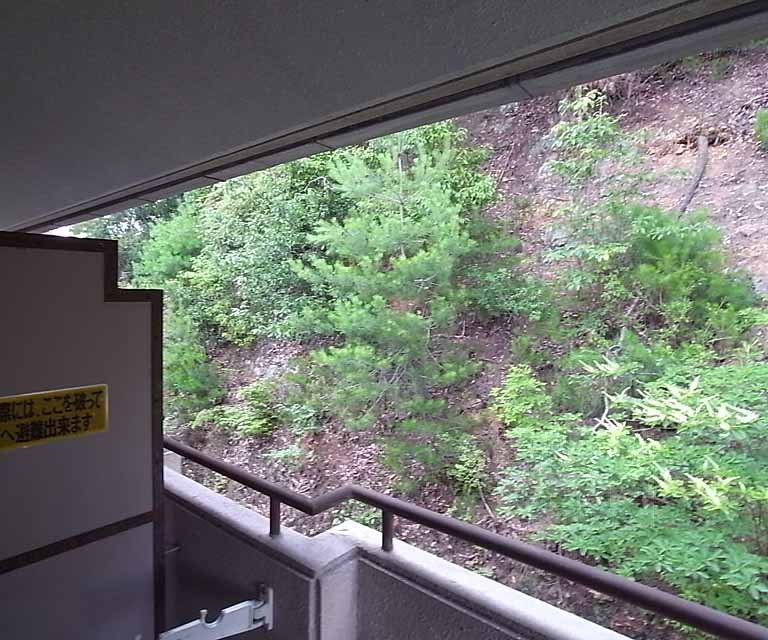 眺望　バルコニースペースからの眺望