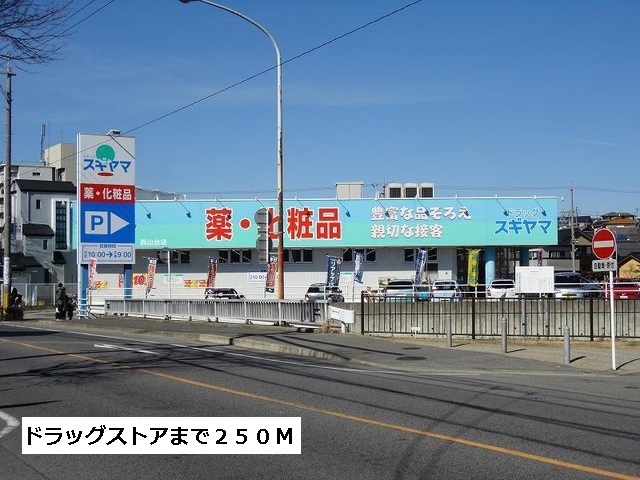 ドラックストア　ドラッグスギヤマ（ドラッグストア）まで250m