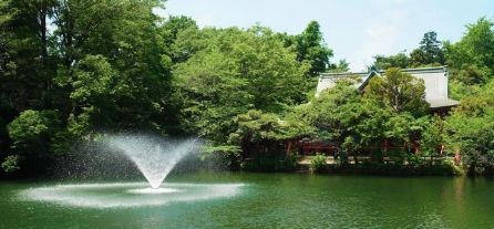 公園　都立井の頭公園（公園）まで1155m