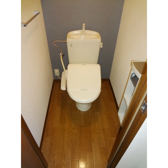 ビューシャトルのトイレ写真