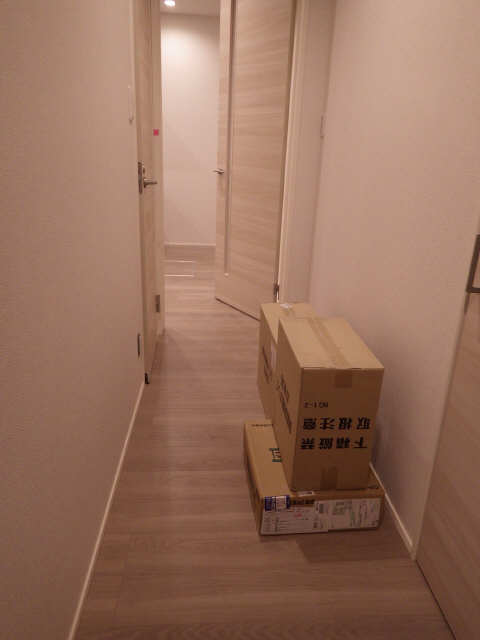 LUANA VIP RESIDENCEのその他写真