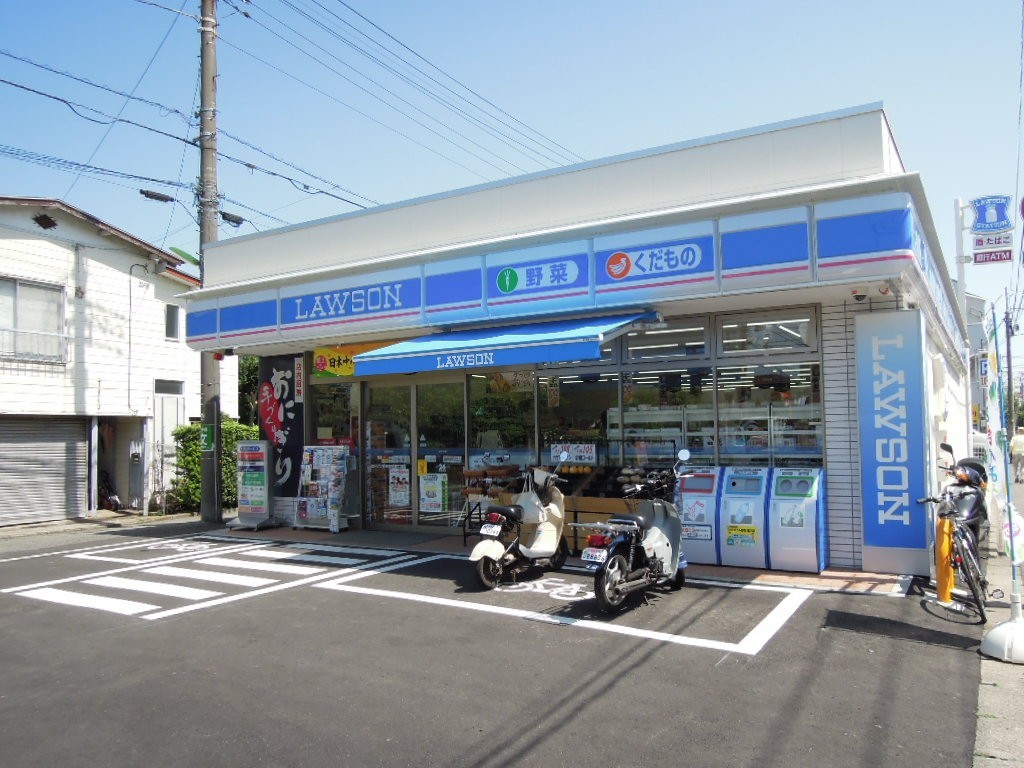 小田急線 祖師ケ谷大蔵駅 徒歩7分 2階建 築29年の周辺写真