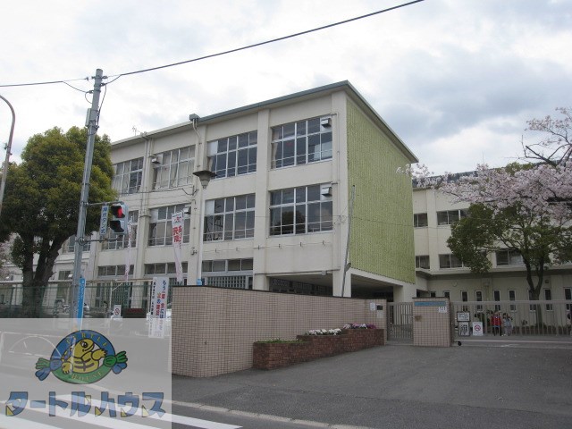 小学校　四條畷市立くすのき小学校（小学校）まで734m