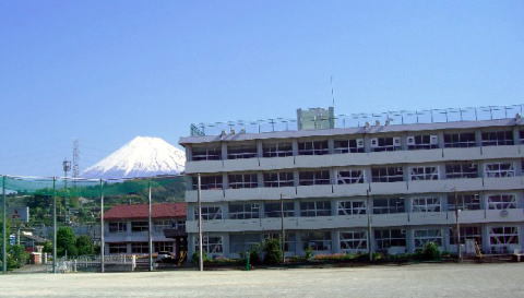 幼稚園・保育園　中里保育園（幼稚園・保育園）まで505m