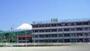 幼稚園・保育園　中里保育園（幼稚園・保育園）まで505m