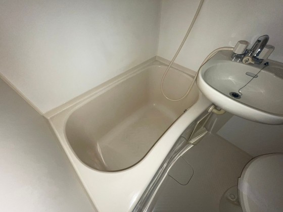 バス・シャワールーム　※他号室のお写真となります