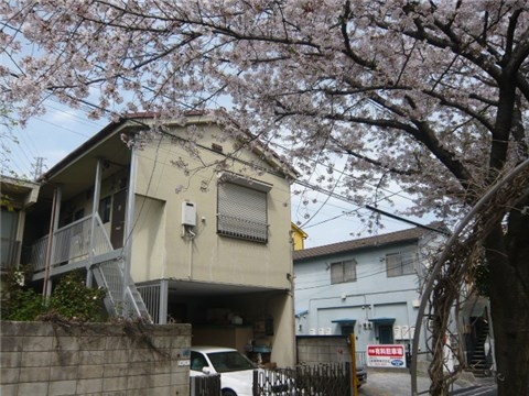 その他　桜並木遊歩道（その他）まで10m