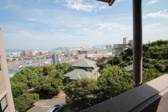 眺望　※別部屋の写真です