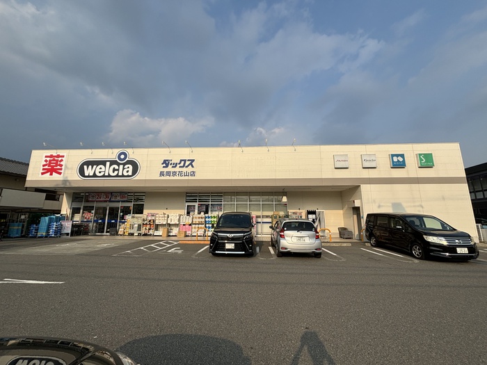 ドラックストア　ダックス長岡京花山店（ドラッグストア）まで1500m